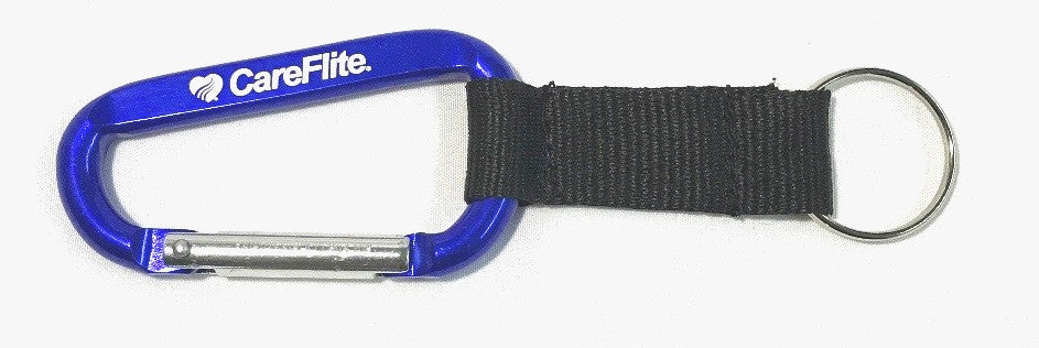 Carabiner keychain